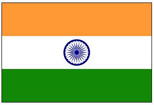 INDIA State Flag